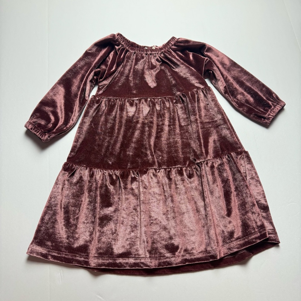 City Mouse Long Sleeve Mulberry Velvet Dress